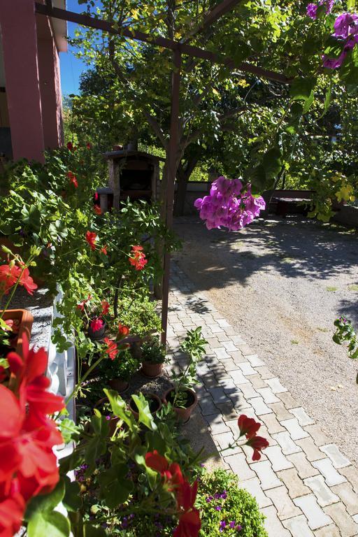 Apartments Zile Starigrad Paklenica Exterior photo