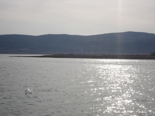 Apartments Zile Starigrad Paklenica Exterior photo